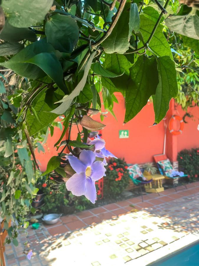 Hotel Casa De Verano - Solo Adultos - Santa Fe de Antioquia Exterior photo